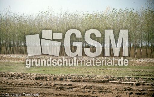 China (167 von 257).jpg